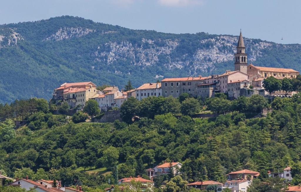 Appartamento Ema Buzet Esterno foto